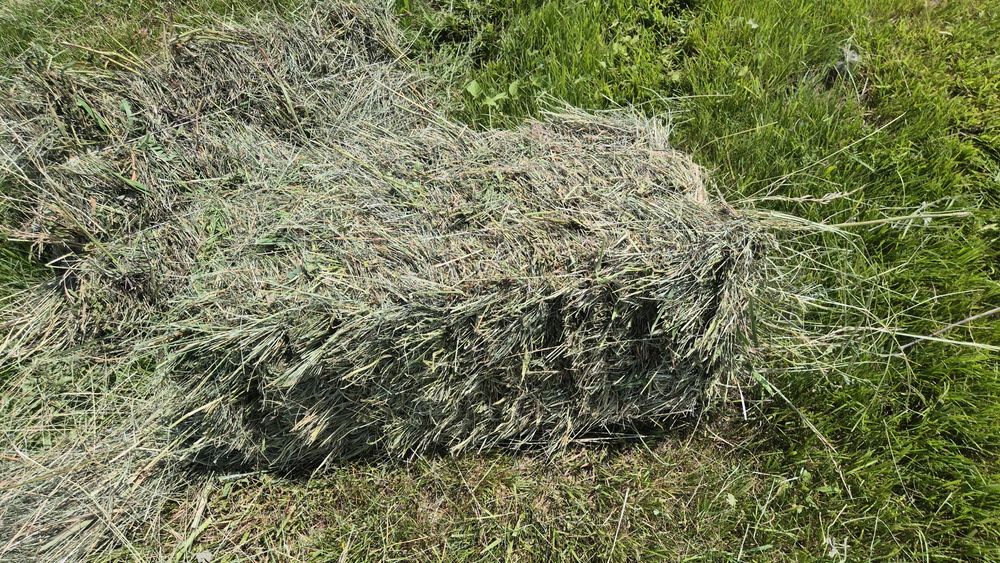 Сено шөп жонышка
