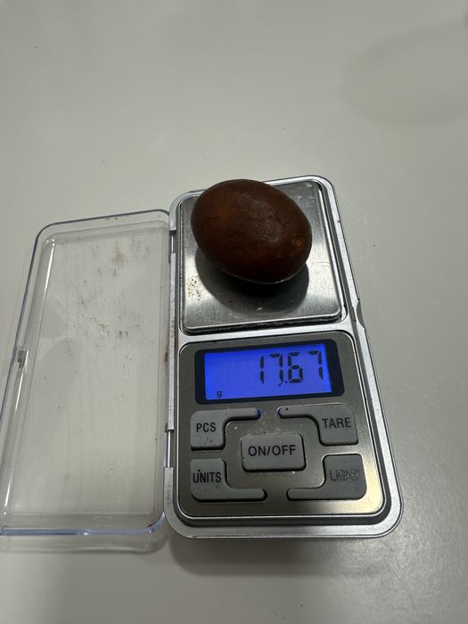 Желчные камни КРС