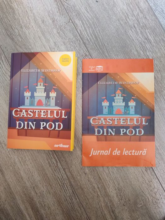 Castelul din pod