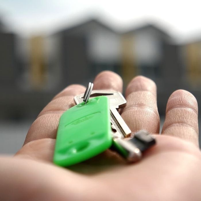 Услуги опытного риэлтора по аренде и продаже любой недвижимости .