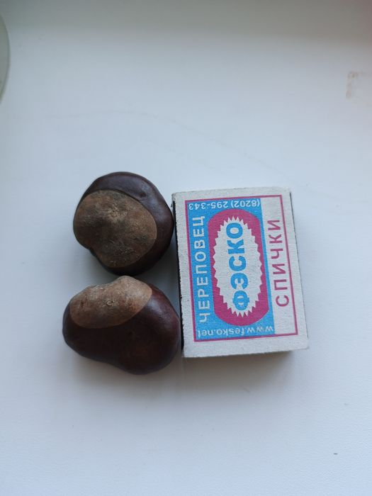 Конский каштан ( лекарственный)