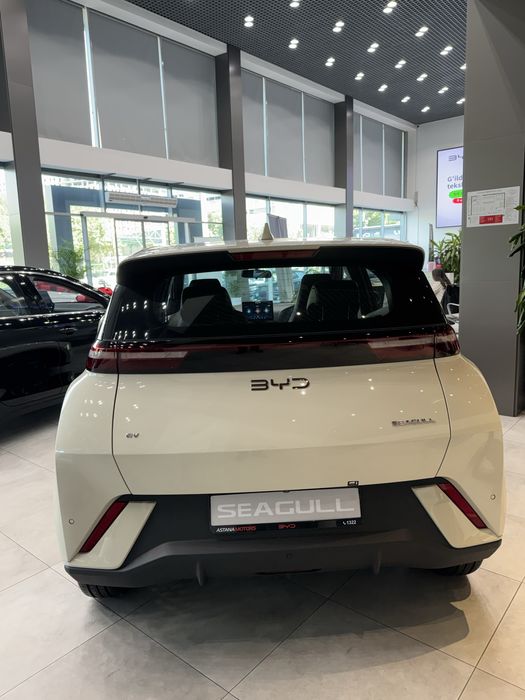 BYD SEAGULL 405 km Flying full