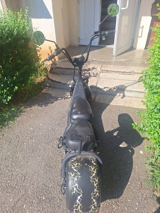 Vand city coco scooter !!