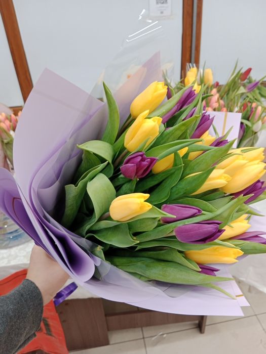 Тюльпаны предзаказ Кокшетау 600тг