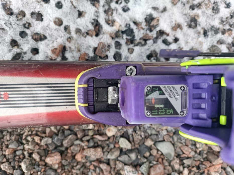 Продам лыжи  pro carve Fischer