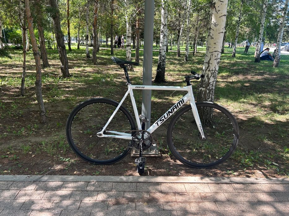 Fixed gear tsunami snm100