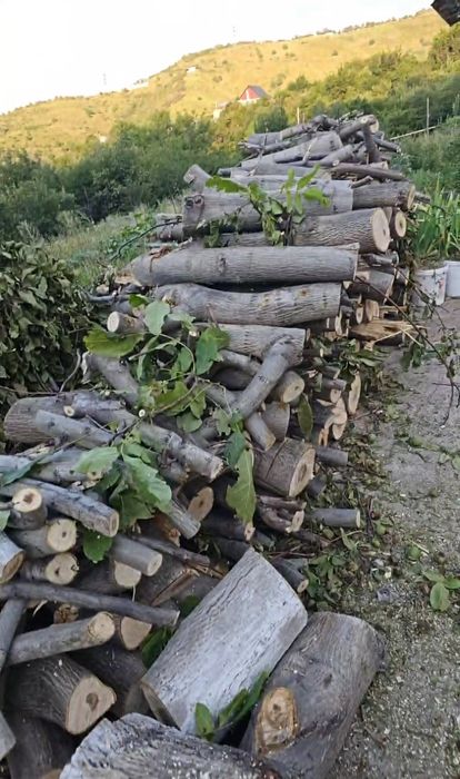 Дрова бесплатно орех отдам