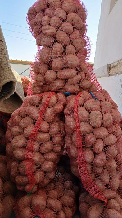 Cartofi rosii de mâncat si de sămânță