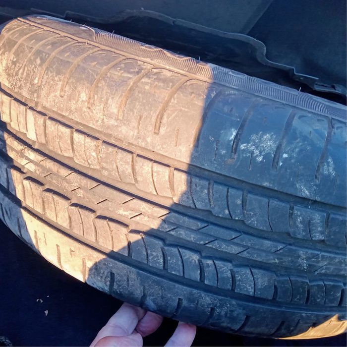 Диски ромашки в хорошем состоянии