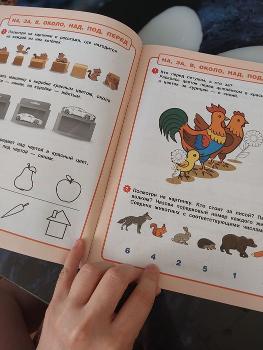 Годовой курс. Развивашка.