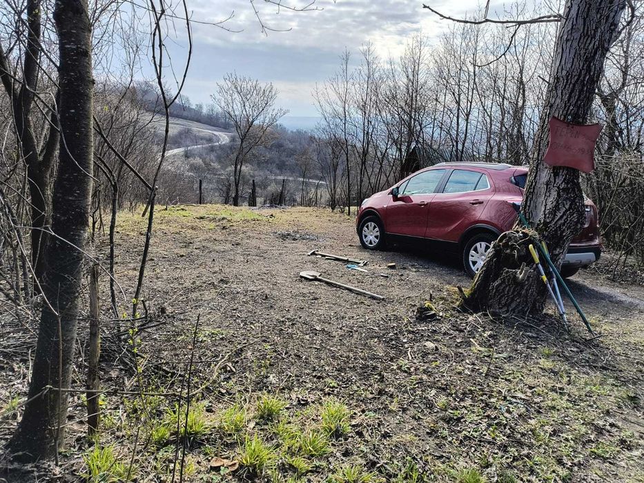 Teren cu vita de vie comuna Cristian judetul Sibiu