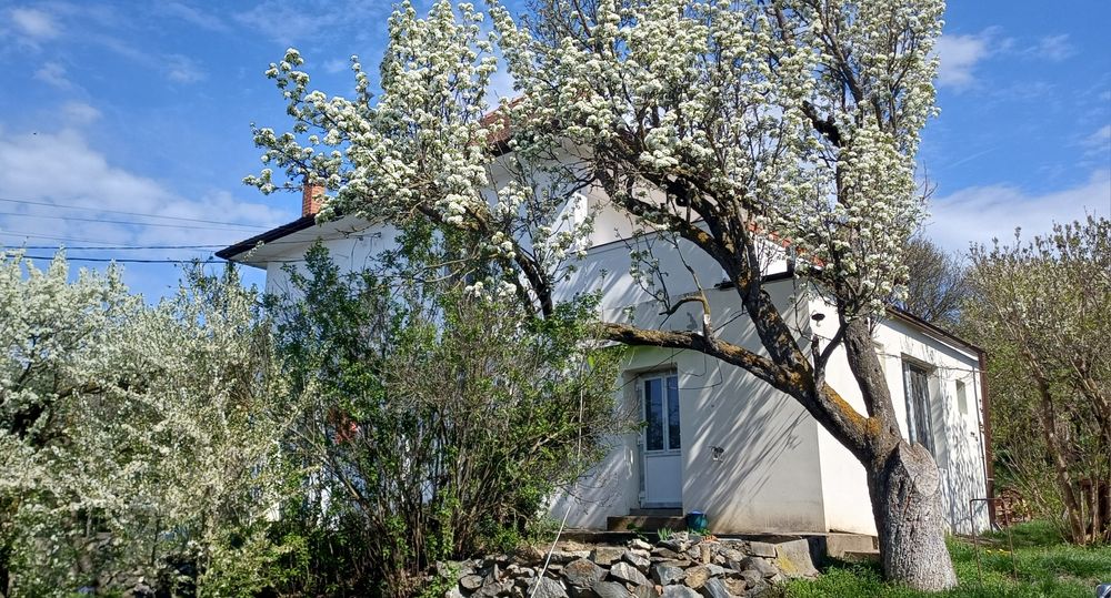 De vanzare casa in Sibiu cu 585 mp teren