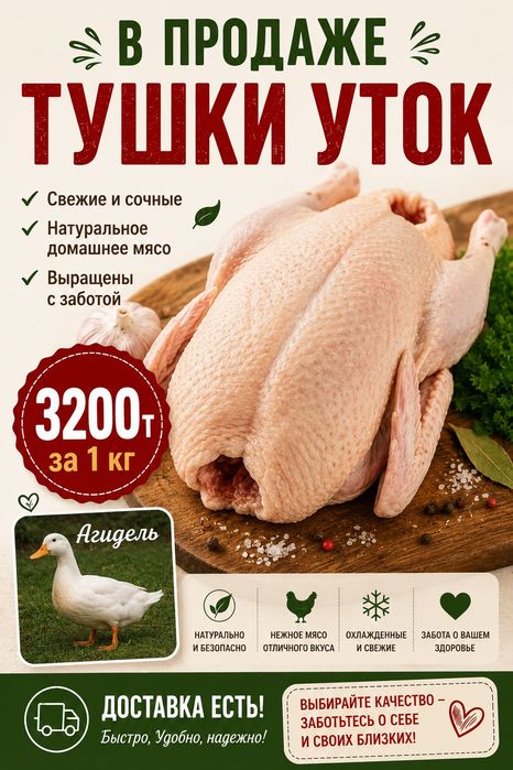 Домашний бройлер
