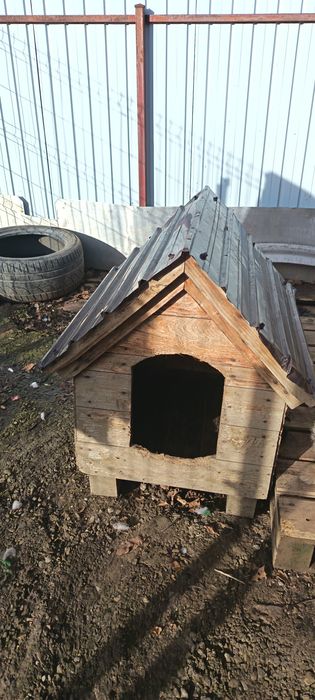 Cușca câine gratis