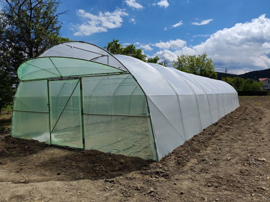 Sere solarii Flori Legume Solar