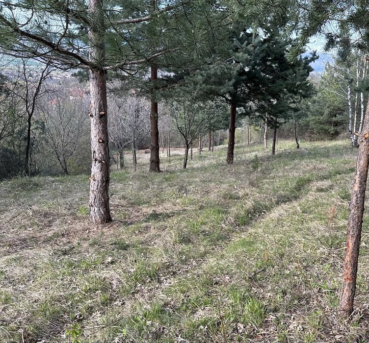 Продава се Парцел в с. Грамаждано, Област Кюстендил - 1311 кв.м за 3 €/кв.м - Снимка #4