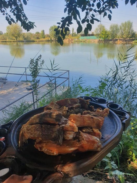 Kol tayor biznes