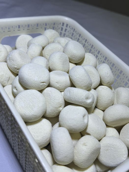 Қолдың құрты сатылады дәмі керемет