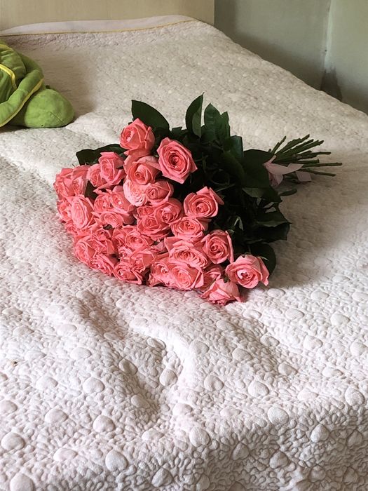 Цветы розы,розового цвета