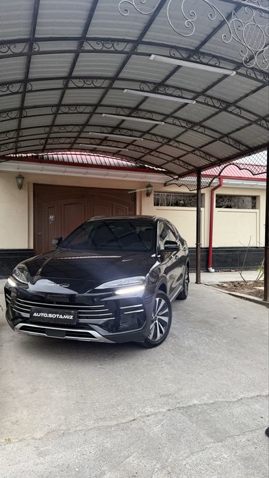 Byd chempion 150tali holati alo