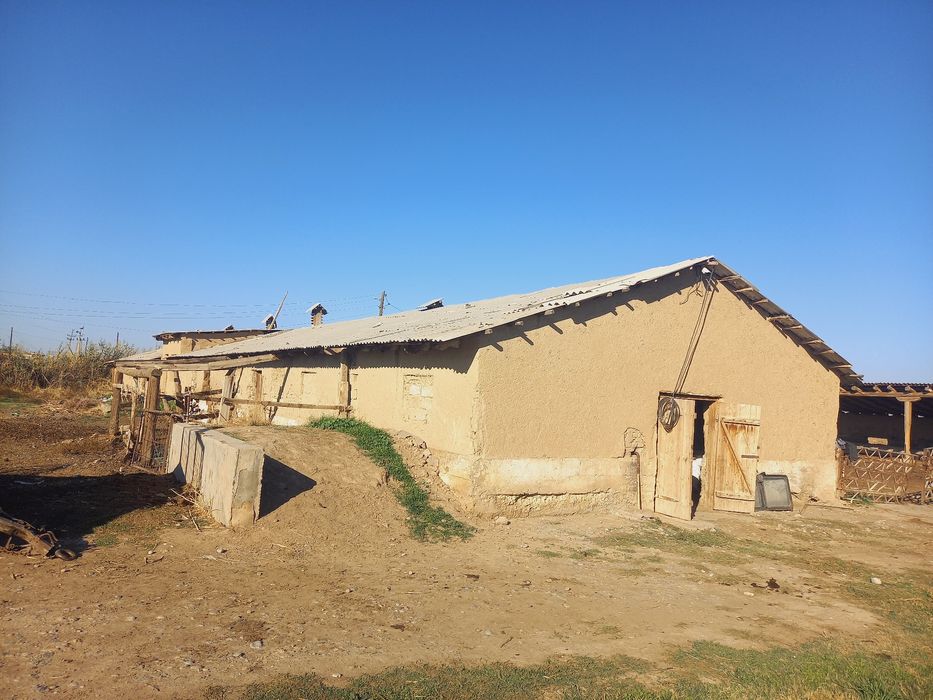 Молхона ва ишлаб чикариш учун бино