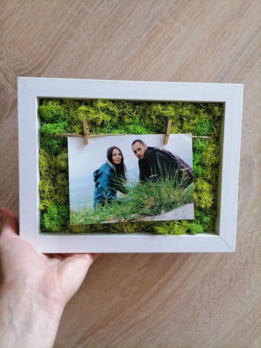 Декоративно пано от естествен скандинавски мъх