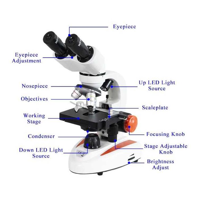 Микроскоп YJ-24B