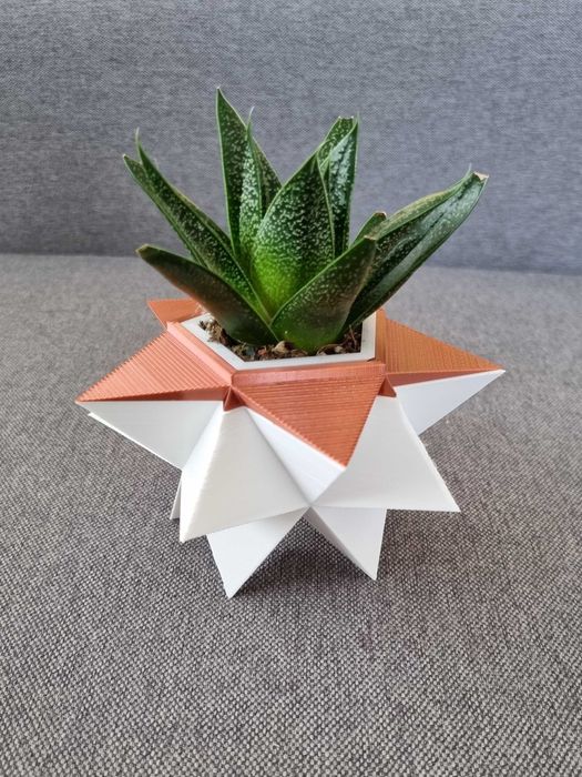 Геометрична кашпа със соколентно разстение