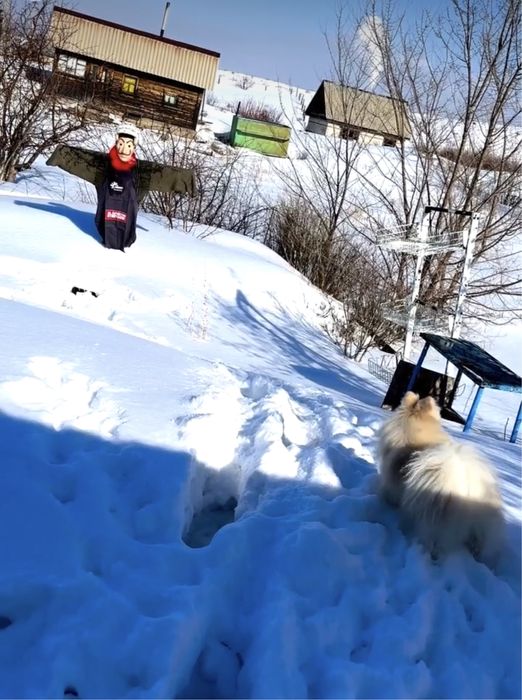 Продам землю в Ахмирова