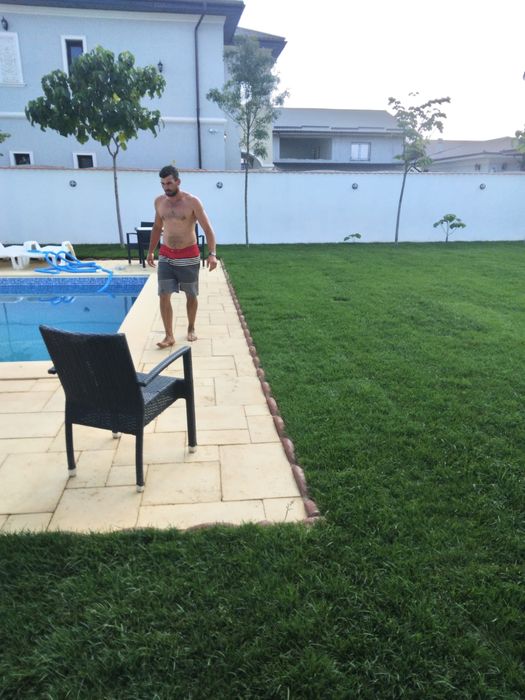 Gazon rulou si plante ornamentale