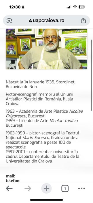 Tablou original Vasile Buzz