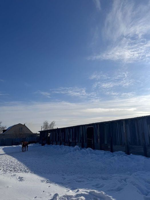 Продажа дом Саран