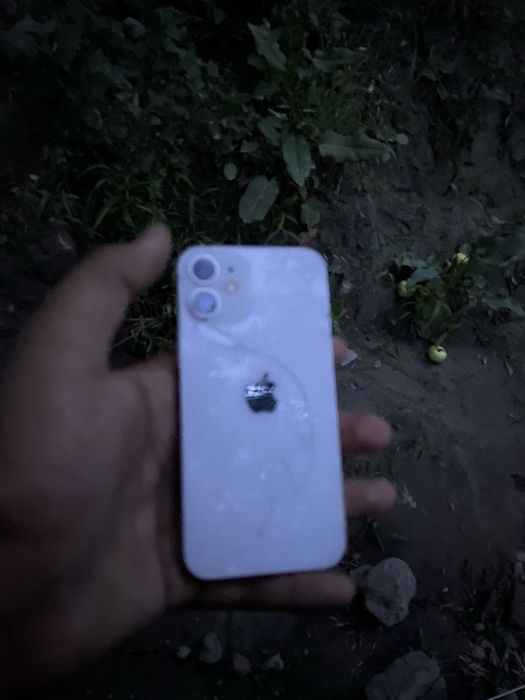 iphone  12  mini