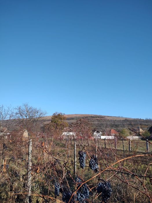 Casă Păuliș jud. Arad