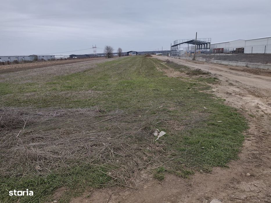 Fara Comisioane Loturi Teren Constructii Hale In Zona De Hale Merita V