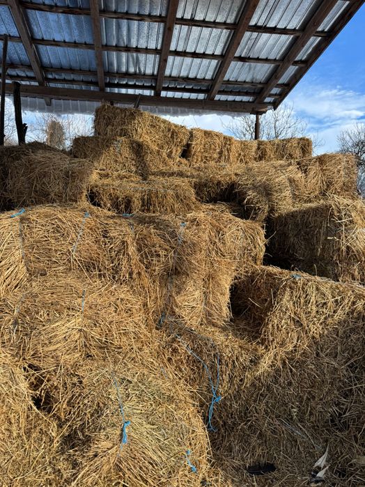 Vând baloți lucernă
