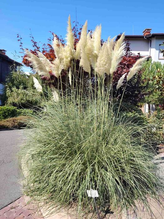 Дава се под наем Двустаен апартамент в Созопол - 60 кв.м за 59.67 € - Снимка #19