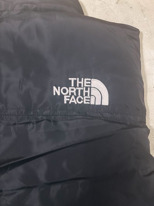 Vesta the north face