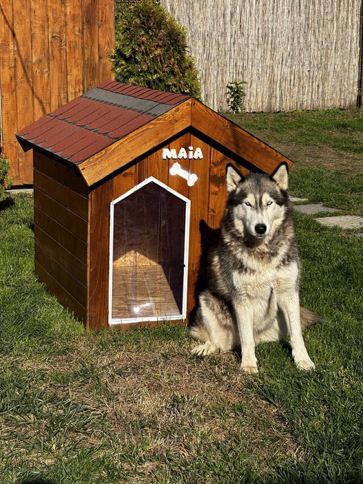 Cușcă câine izolată, autentică, de la producător - calitate garantată