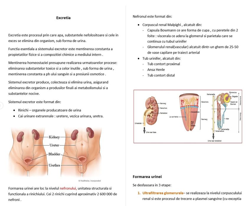Meditatii bacalaureat biologie clasele 11-12 și admitere