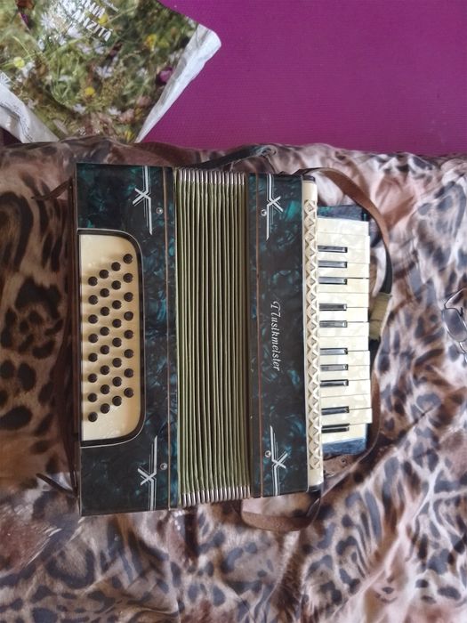 Acordeon in stare foarte buna