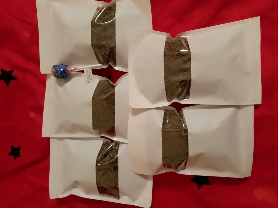 Oferta PACHET 9 pungi MENTA + 2 TRANDAFIR de gradina BIO, LIVRARE 4,99