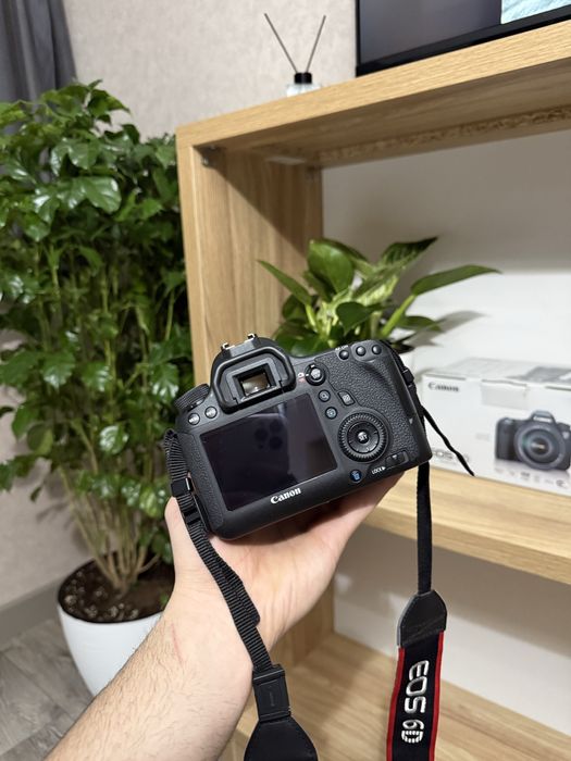 Canon 6D + Canon 70-200 Usm