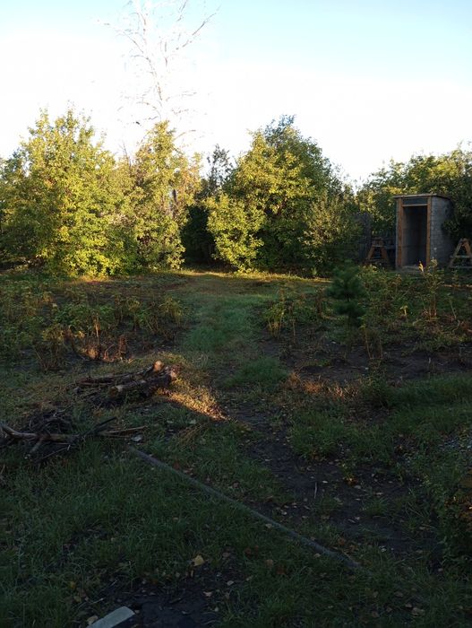 Продам дачу сад здоровье