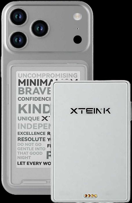 Электронная книга ридер  XTEINK X3 (Developer Edition) черная, белая