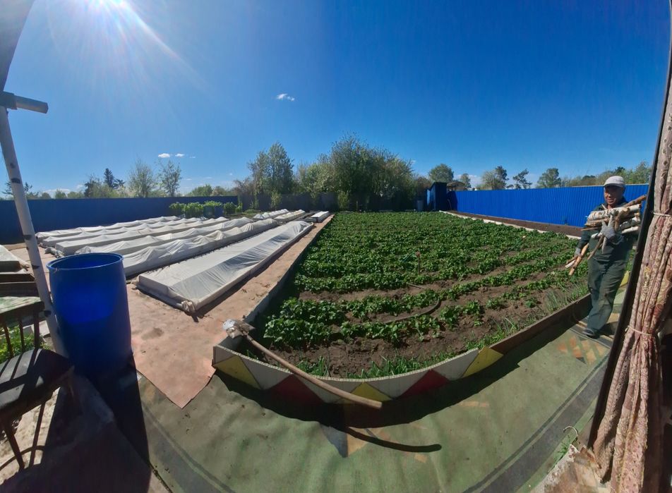 Дача притобольский