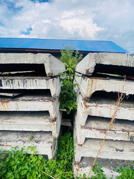 Срочно  Продам плетка