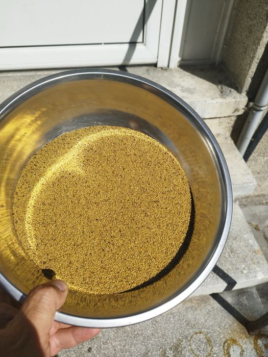 Продавам люцерново семе реколта 2025г.