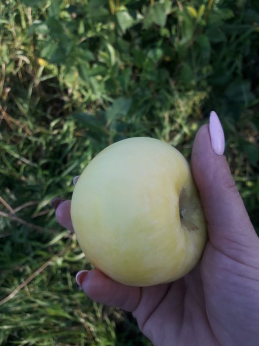 Дача по Красноярской трассе