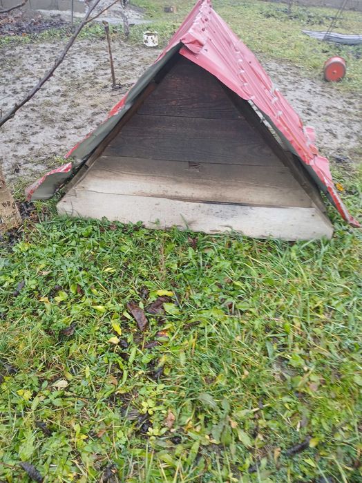 Cusca de caine talie mediu si mare